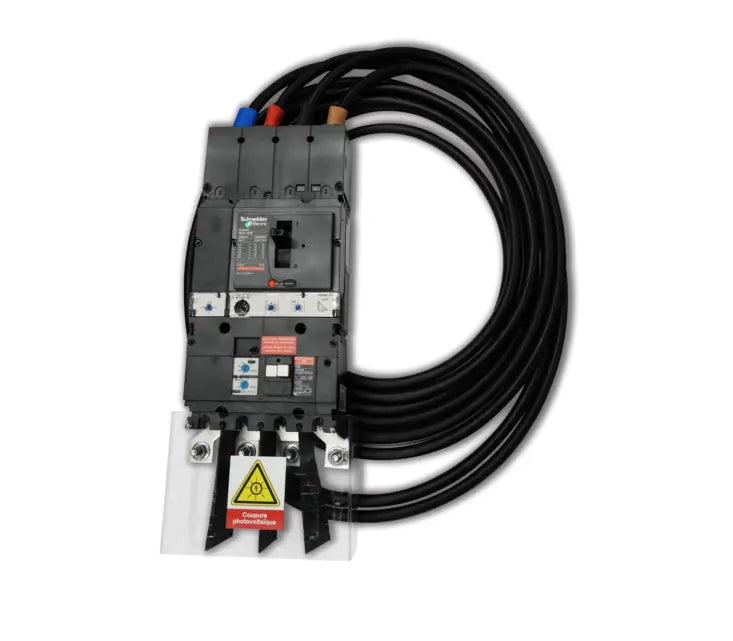 AGCP 250A Kit (Schneider CVS250F- 36kA-TMD-VIGI MH) with shoulder straps -