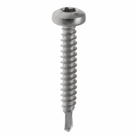 ART100461 - GSE - VIS INOX 4.2MMx25MM