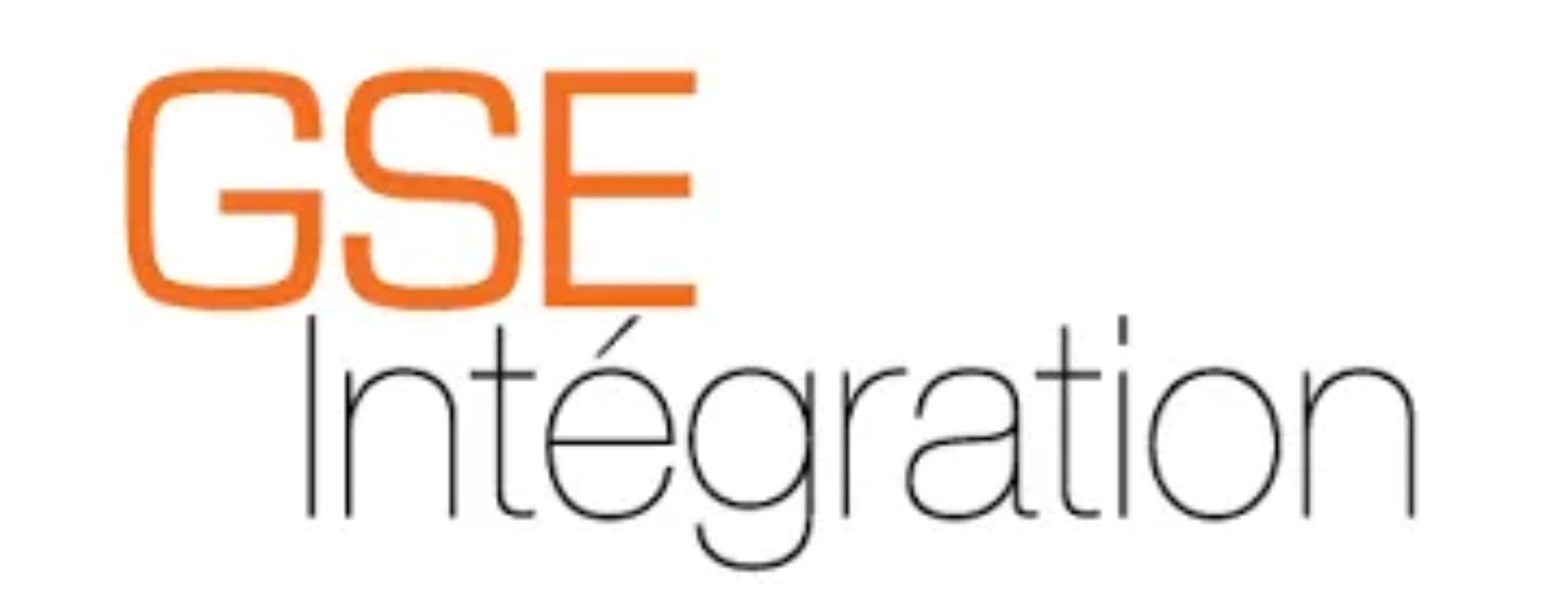 Logo Gse Computer GSE Intégration Ground Evolution Connecteur Rail Avec 4 Vis – Ecostal ...